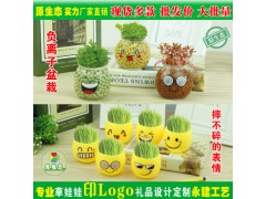 长草娃娃炫酷表情 负离子盆栽 摆件礼品玩图2