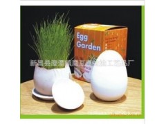 魔蛋 魔豆 创意礼品 园艺花卉 创意种植办公室盆栽图2