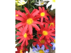 小雏菊手工绢花装饰客厅插花图3