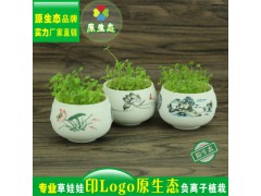 长草头娃娃 微景观 雪花釉白瓷夏荷 桌面迷你盆栽图1