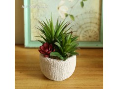 【城岸】高档仿真花多肉植物套装 假花塑料花装饰花家居装饰插花图2