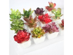 迷你仿真多肉植物盆景 仿真花创意摆件图1