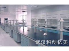 实验室装修图1
