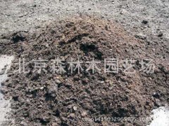 多屋顶绿化专用草炭土 量大从优 有机质达百分之50草炭土图1