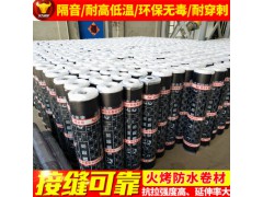 弹性体塑性体卷材sbs高聚物改性沥青防水卷材防水材料图1