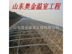 蔬菜温室大棚 玻璃温室图1