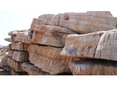 奇珍异石 假山石头 假山石 新型园林图1