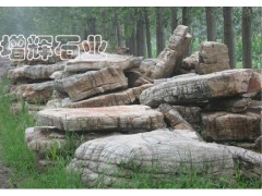 新型园林 假山石 奇珍异石图1