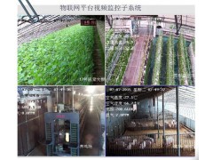 农业温室物联网图1