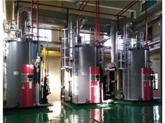 上海三浦蒸汽锅炉供应 上海三浦蒸汽锅炉供应商 上海青盛供图1