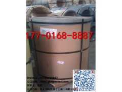 湛江宝钢彩涂卷哪里有 鼎及供 宝钢自清洁彩涂卷