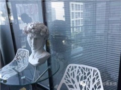 上海专业制作玻璃隔断_专业制作玻璃隔断_地生供图1