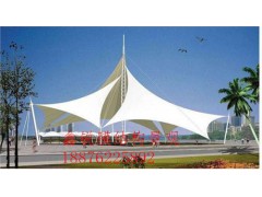 泉州遮阳伞雨棚鑫锐供图1