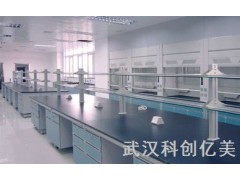 实验室装修公司|实验室建设施工|科创亿美供图1