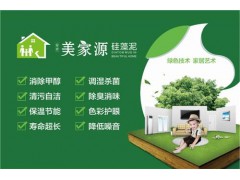 广州硅藻泥加盟|长沙硅藻泥十大排行榜|汗青供图1