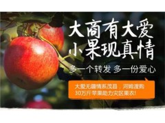 机柜,机柜规格,机柜品牌,河姆渡供图1