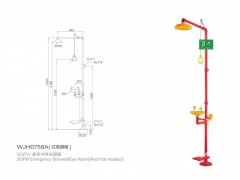 北京WJH0759A紧急冲淋洗眼器0758A复合式冲淋洗眼器图2