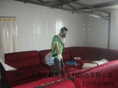 提供上海跳蚤怎么灭多少钱东诚供图1