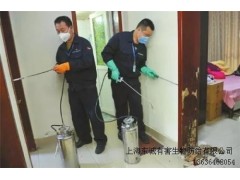 提供上海蚂蚁怎么灭批发东诚供图1
