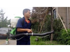 提供上海办公室杀虫排名东诚供图1