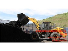 无锡常林装载机销售价格电话-百通环达供图1