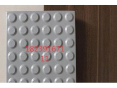 广西桂林盲道砖 芝麻灰盲道砖6图3