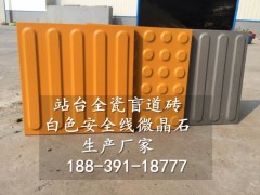 新疆乌鲁木齐为您推荐质优价廉的盲道砖 人行道盲道砖6图3