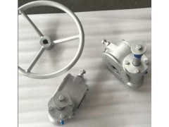 上海禹轩加工出口蜗轮蜗杆,QDX3机械阀门减速器供应图1