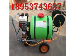 2019现货手推式打药机园林打药车 160L电动打药机图1