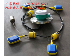 LS-S电缆浮球液位开关, 电缆浮球液位开关图1