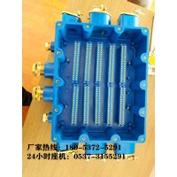 BHD-400/1140-4G/1.14KV防爆四通接线盒