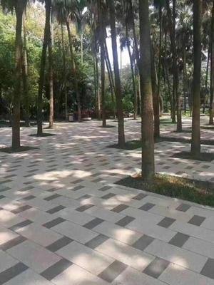 t0109c79fd16c25f194 (1)