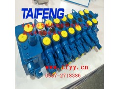 泰丰液压TRM系列多路换向阀用于挖掘机泰丰液压图1