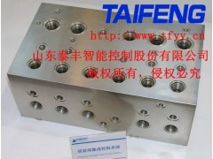 YN32-100GSCV二通插装阀泰丰液压厂家现货直销图1