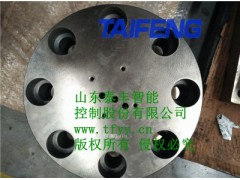 TLFA32DBT盖板泰丰智能厂家直销图1