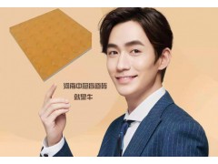 安徽高温烧制通体渗釉全瓷盲道砖实体厂家6图1