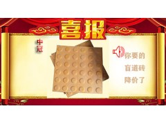 宁夏全瓷盲道砖价格/安全线止步盲道砖6图1