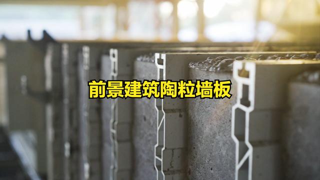 前景建筑陶粒墙板生产设备