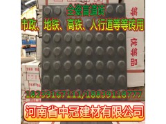 中泰铁路合作项目-30025厚耐压全瓷盲道砖L图1