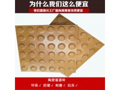 地铁盲道建选300*300*20灰色全瓷盲道砖图1