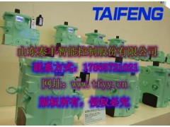 TFA7VO160LR/10-LRB4恒功率柱塞泵现货销售图1