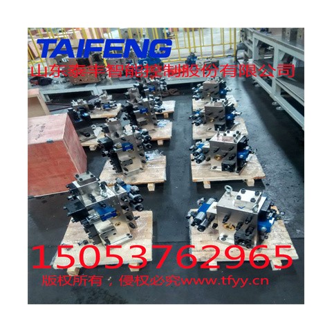 山东泰丰加工定制二通插装阀图1