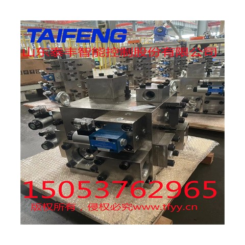 山东泰丰加工定制二通插装阀图5