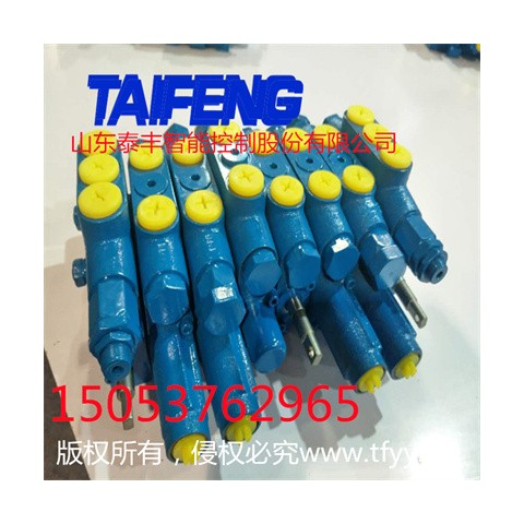 山东泰丰厂家供应可加工定制多路阀TRM15图1