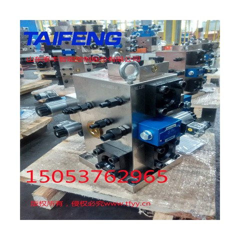 泰丰厂家供应二通插装阀YN32-315HXCV图1