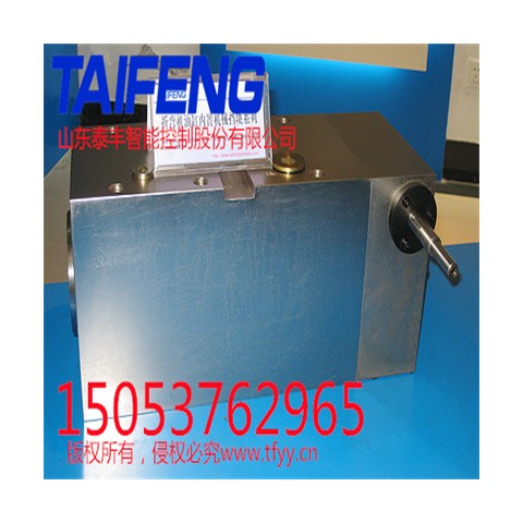 泰丰智能加工定制液压油缸WC67Y-100RHG-00图2