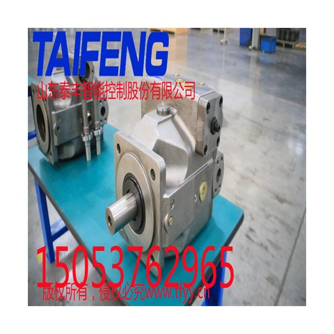 山东泰丰智能供应柱塞泵TFB1V63YS/1X-LRB2图1