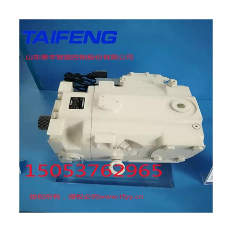 山东泰丰智能供应柱塞泵TFB1V63YS/1X-LRB2图2