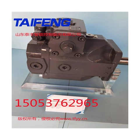 山东泰丰智能供应柱塞泵TFB1V63YS/1X-LRB2图3