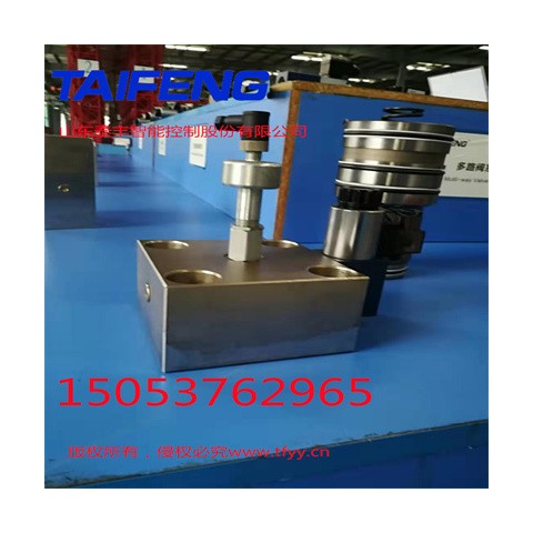 山东泰丰供应双主动型比例二通插装阀图2